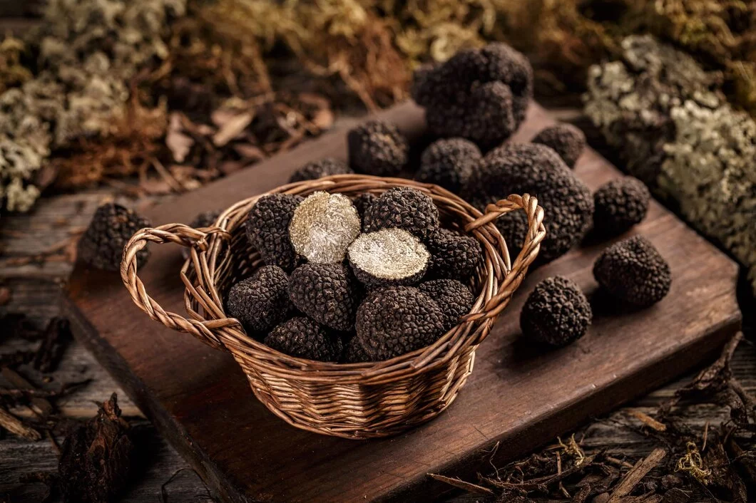 Truffe noire du Périgord